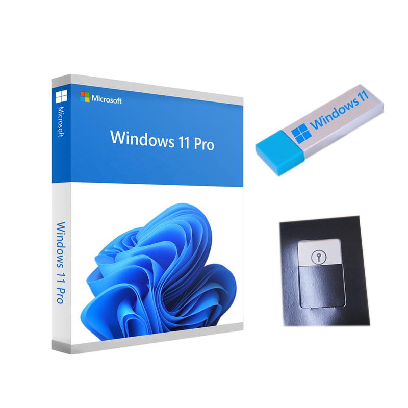Antivirus Multi Language Win 11 Pro Key USB Flash Drive